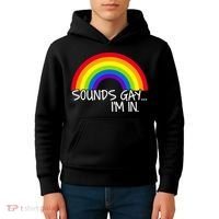 Sounds Gay I'm In Funny LGBT Kids Hoodie thumb 4