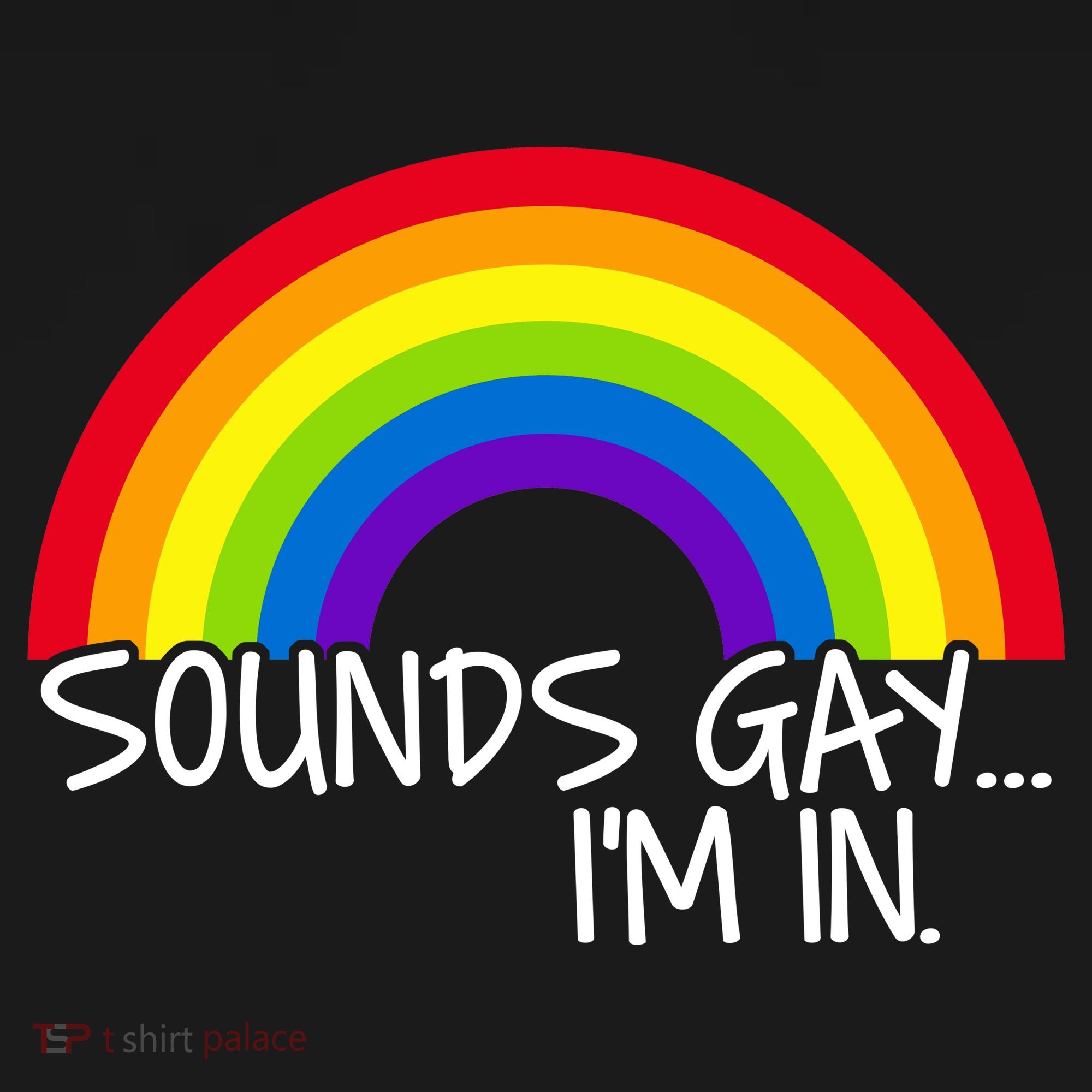 Sounds Gay I'm In Funny LGBT Kids Hoodie