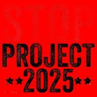 Stop Project 2025 Santa Hat thumb 1