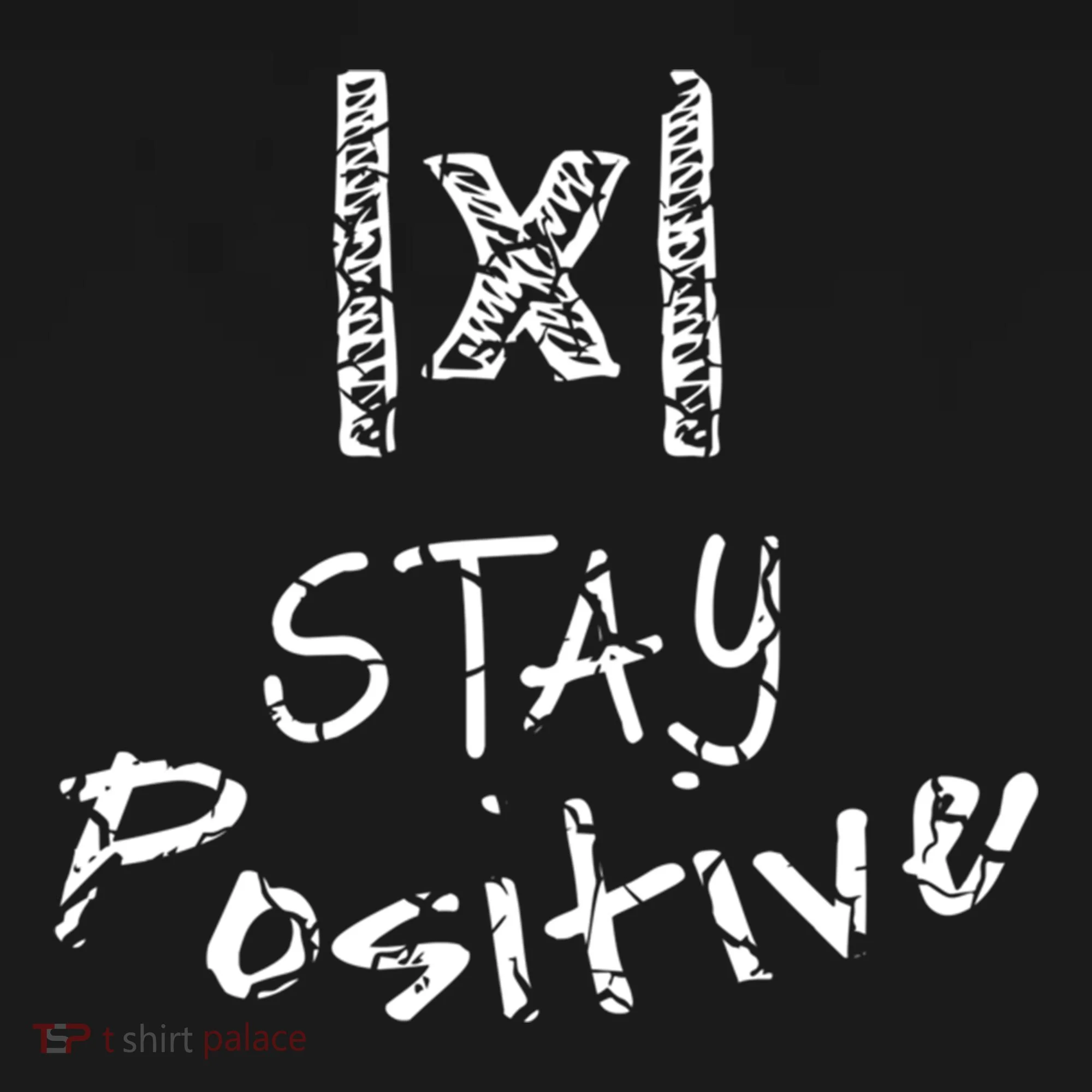 Stay Positive Absolute Value Funny Math Teacher Calculus Gift Doggie Tank