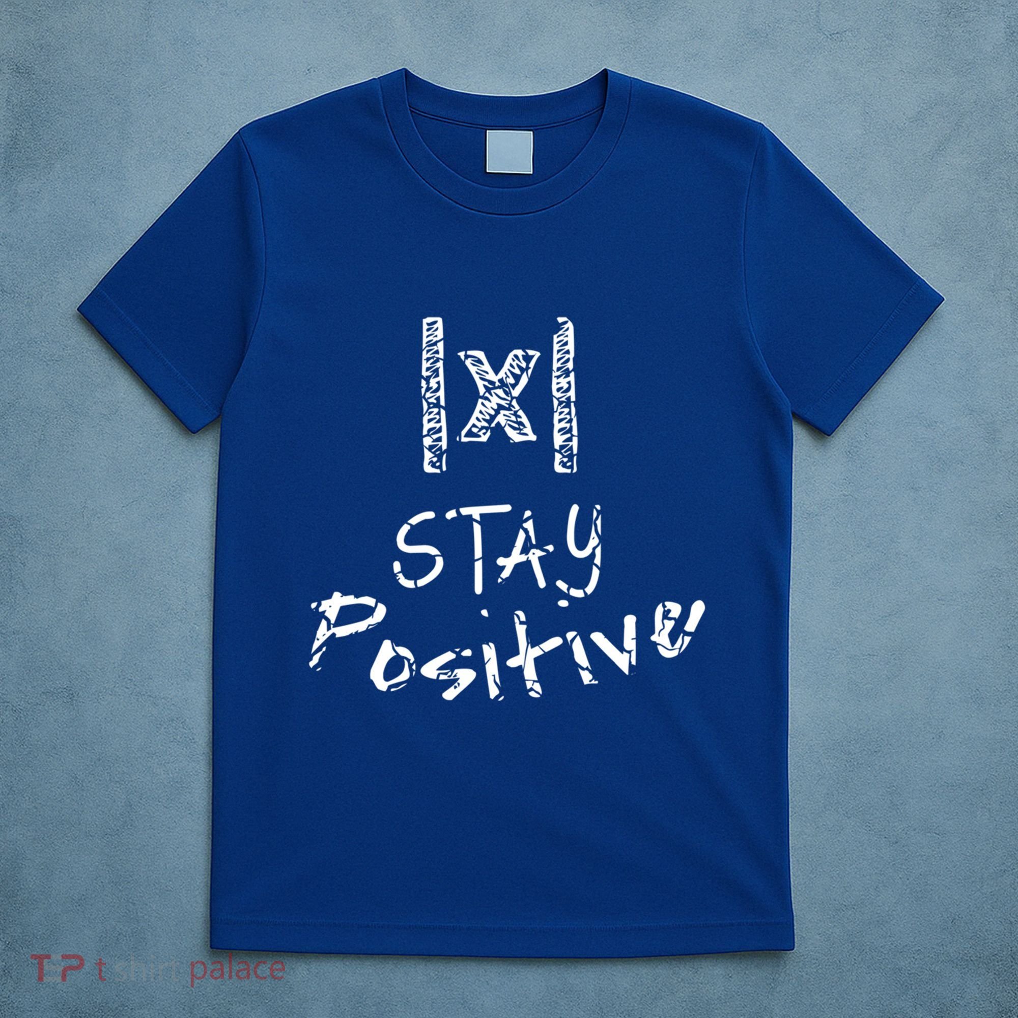 Stay Positive Absolute Value Funny Math Teacher Calculus Gift T-Shirt