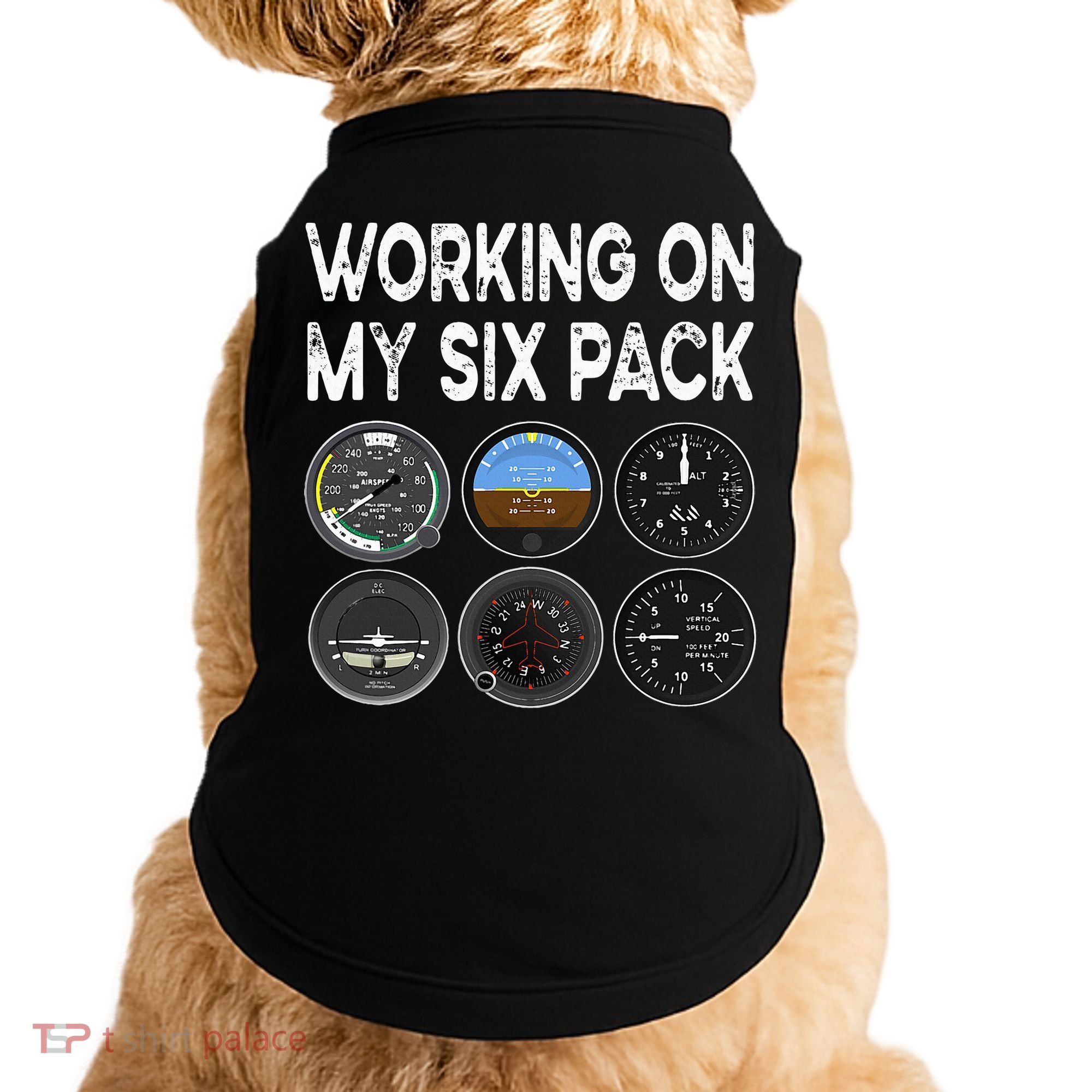 Six Pack Accessorie Pilot Aviation Flying Airplane Doggie Tank