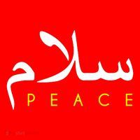 Salam Peace Arabic Calligraphy Santa Hat thumb 1
