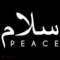 Salam Peace Arabic Calligraphy Funny Gift Ornament thumb 1
