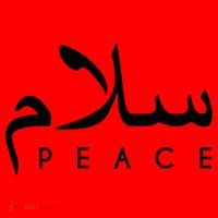 Salam Peace Arabic Calligraphy Funny Gift Santa Hat thumb 1