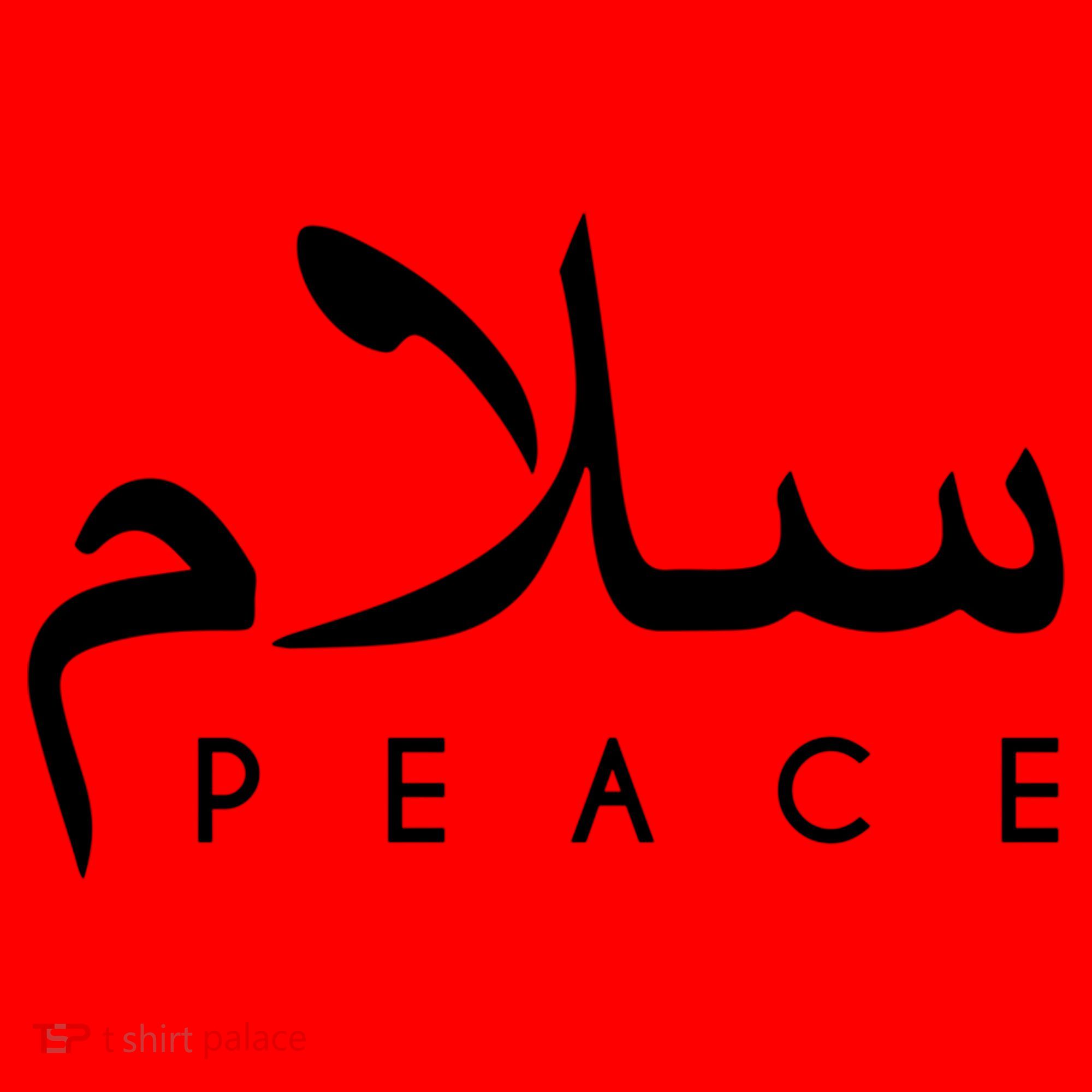 Salam Peace Arabic Calligraphy Funny Gift Santa Hat