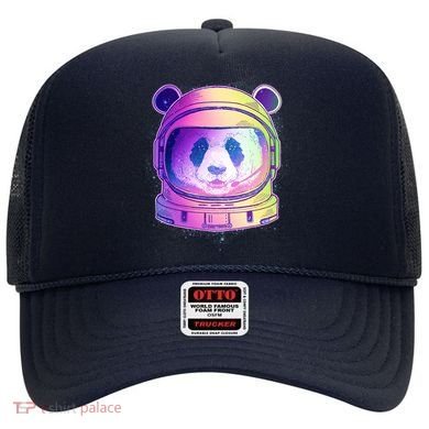 Space Astro Panda Hat