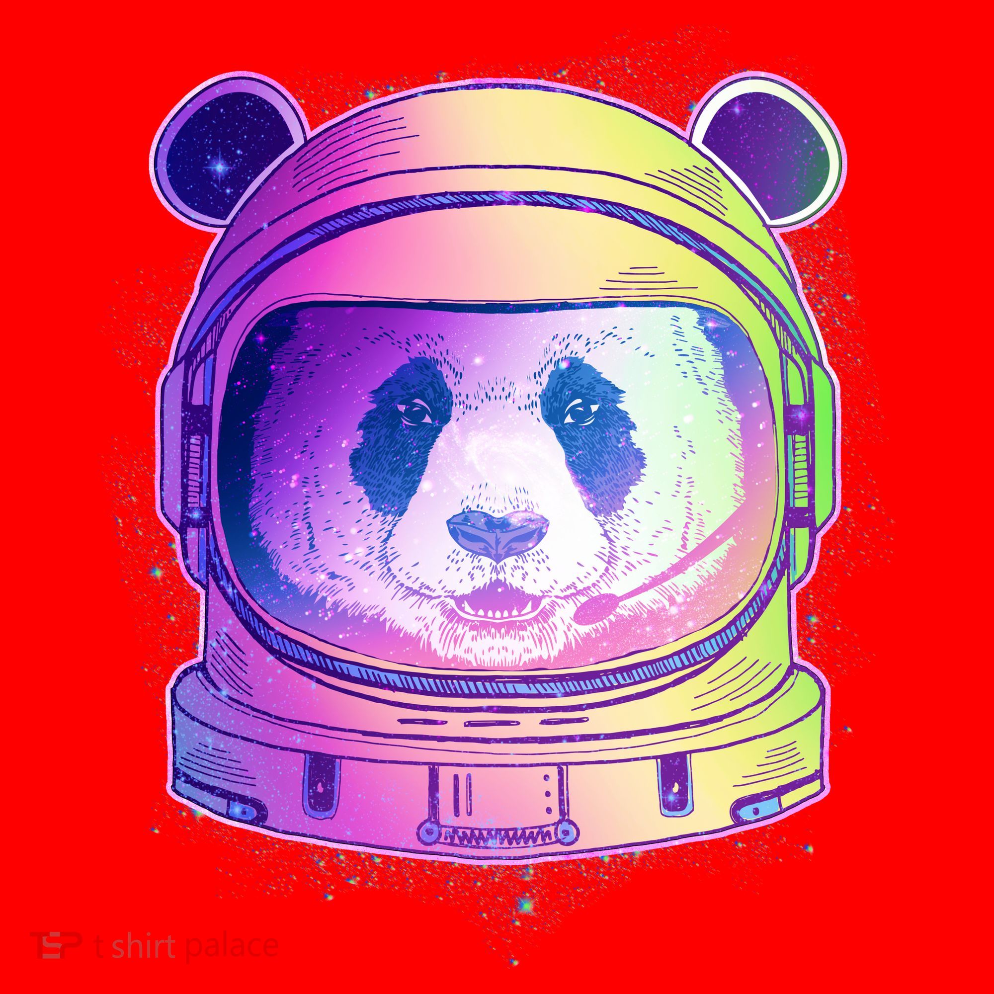 Space Astro Panda Santa Hat