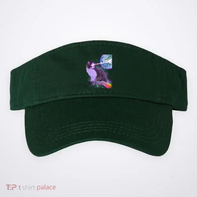 Visor