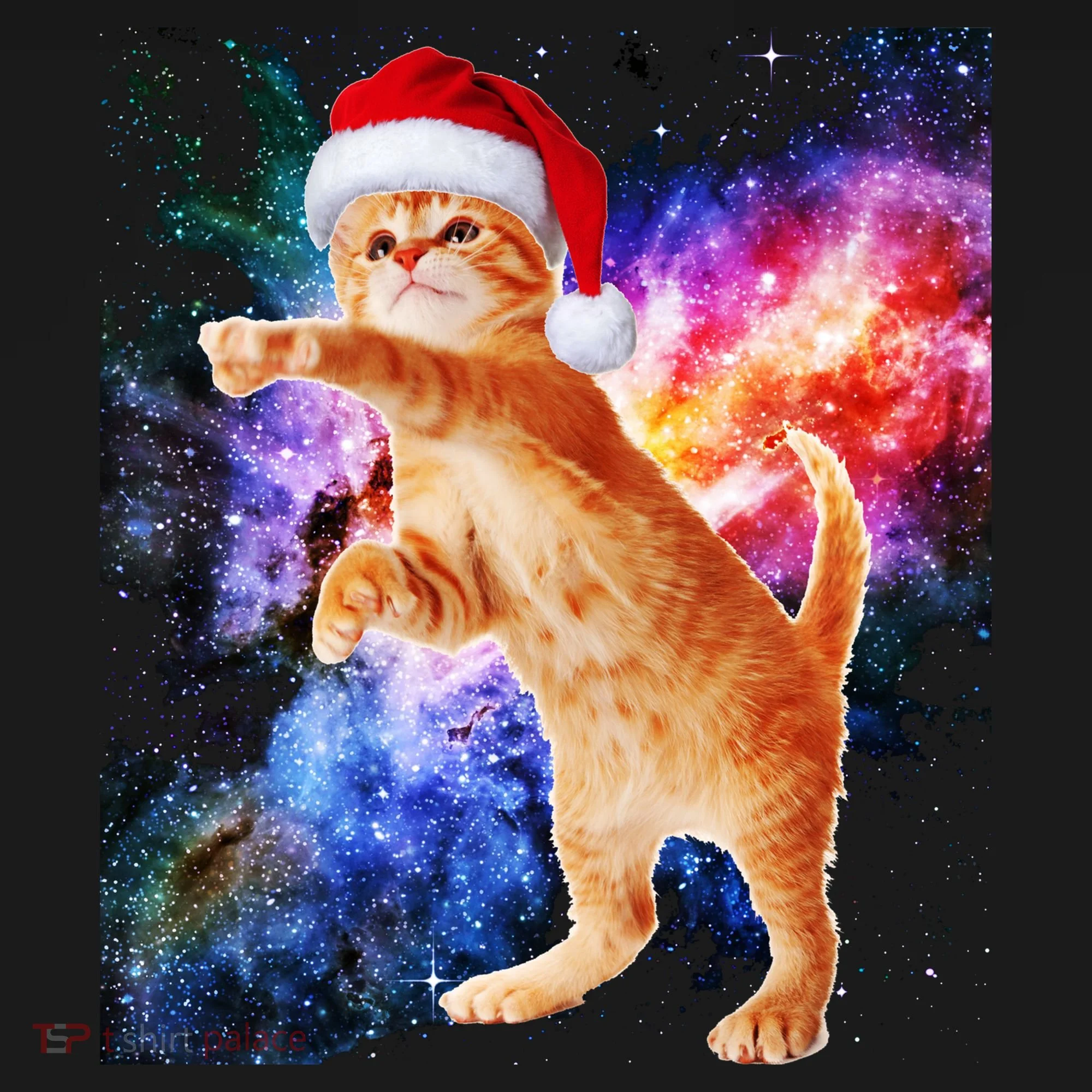 Space Christmas Cat Santa Kitty Doggie Tank