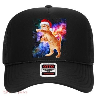 Space Christmas Cat Santa Kitty Hat