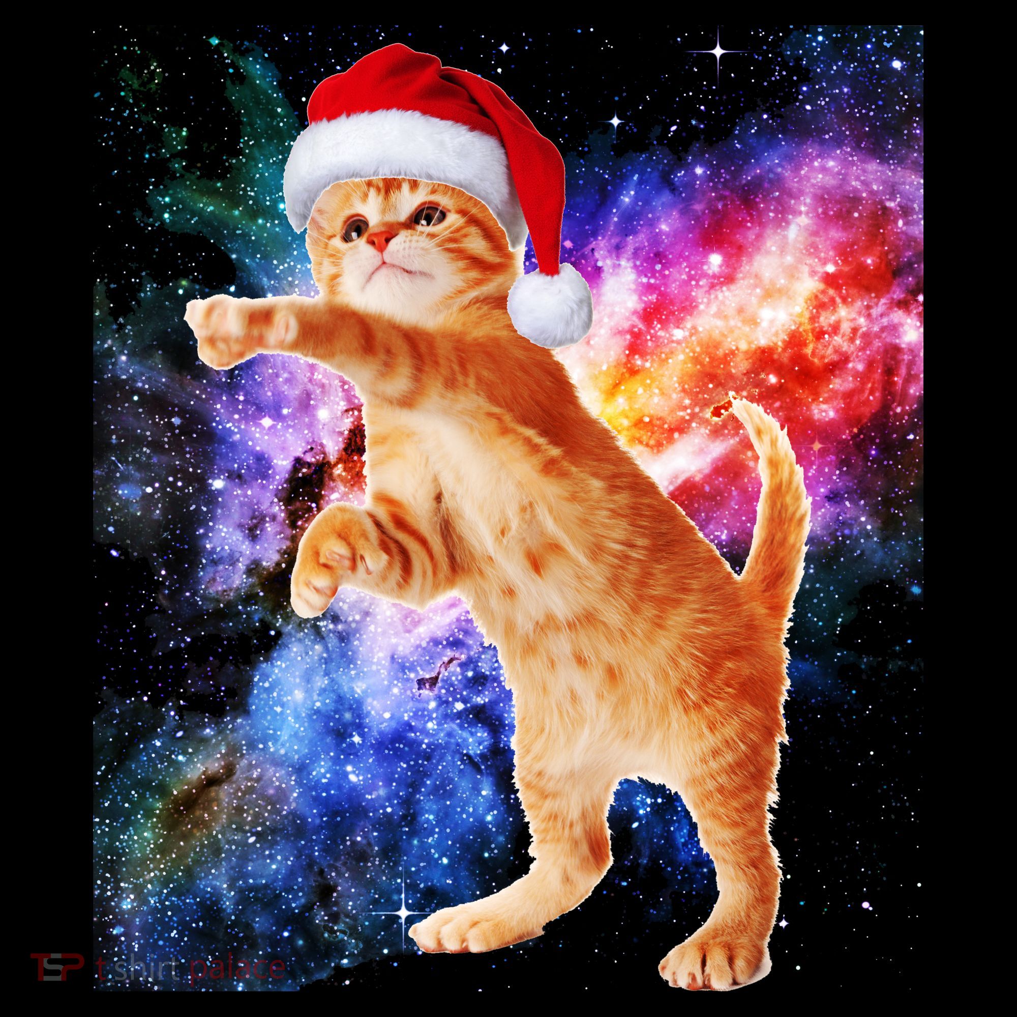Space Christmas Cat Santa Kitty Toddler Hoodie