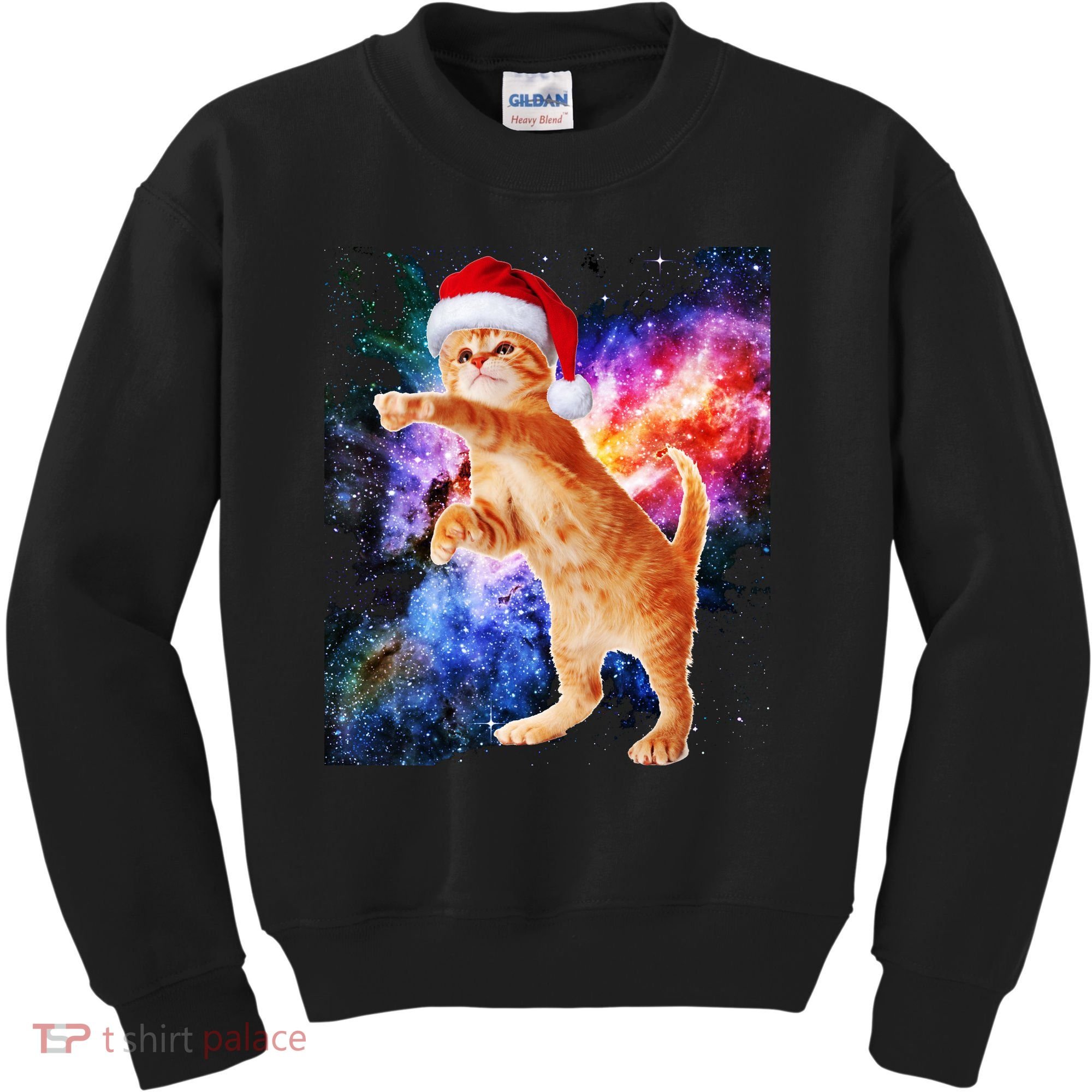 Space Christmas Cat Santa Kitty Kids Sweatshirt