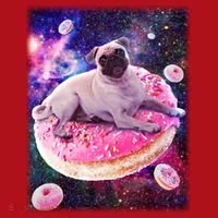 Space Donut Pug Christmas Stocking thumb 1
