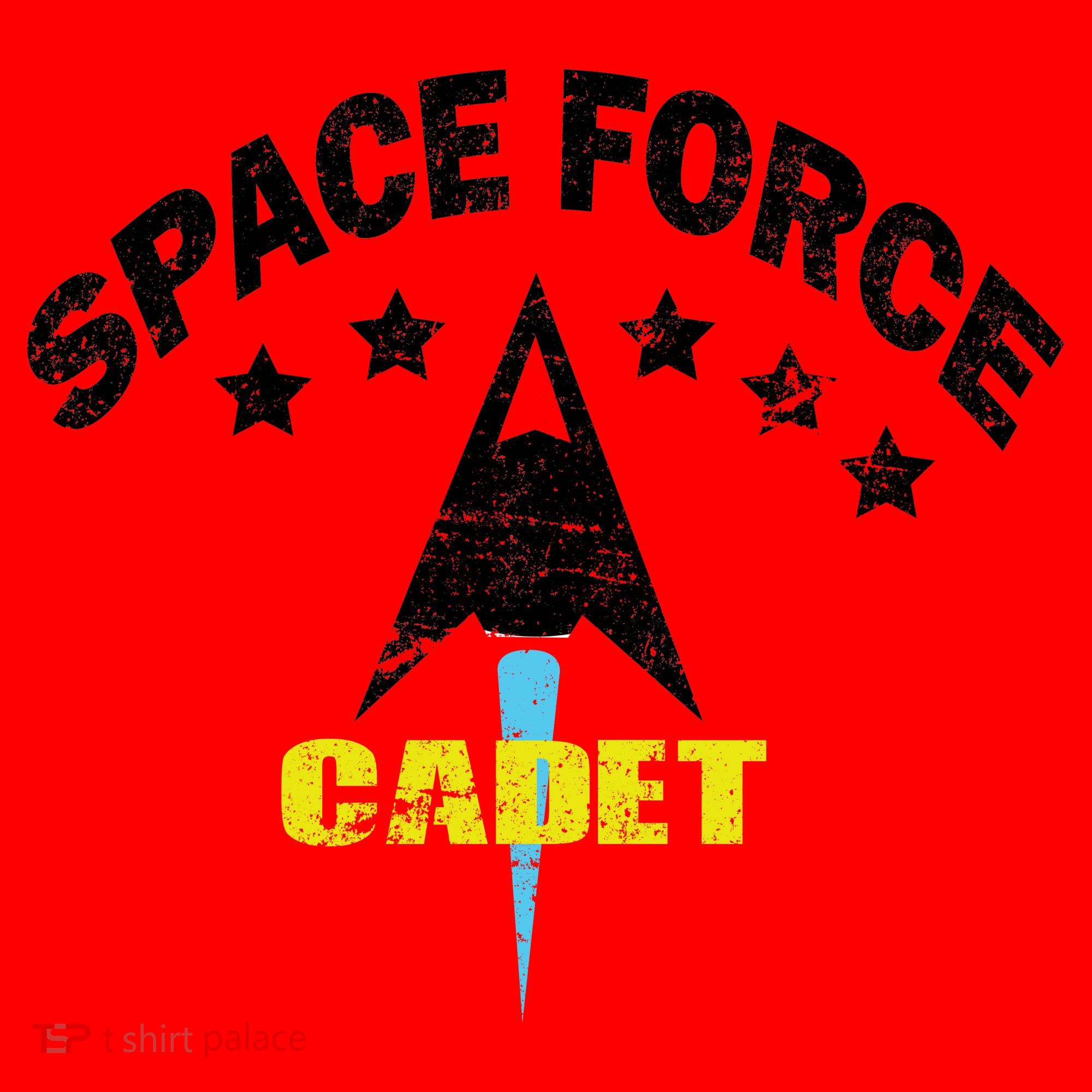 Space Force Cadet Santa Hat
