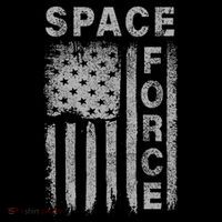 Space Force Grunge Flag Toddler Hoodie thumb 2