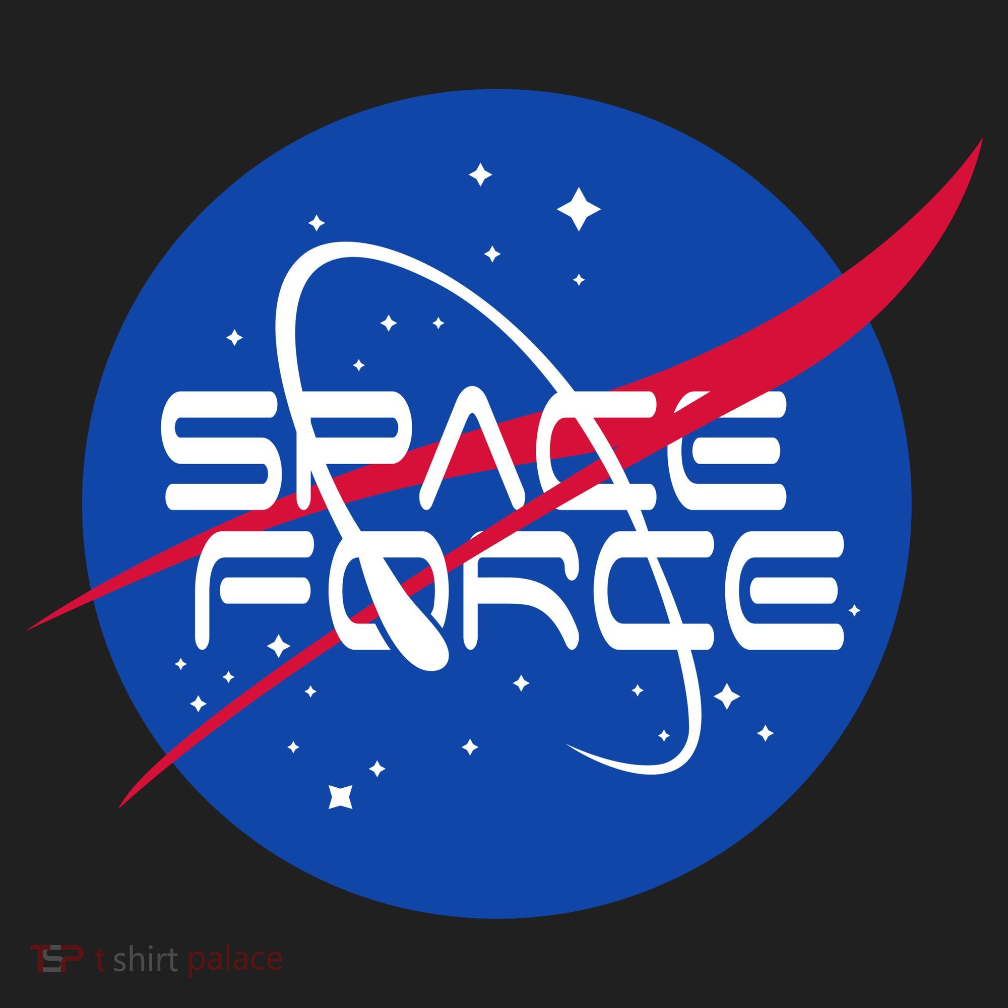 Space Force USA United States Logo Beanie