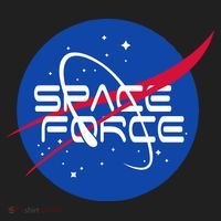 Space Force USA United States Logo Hat thumb 2