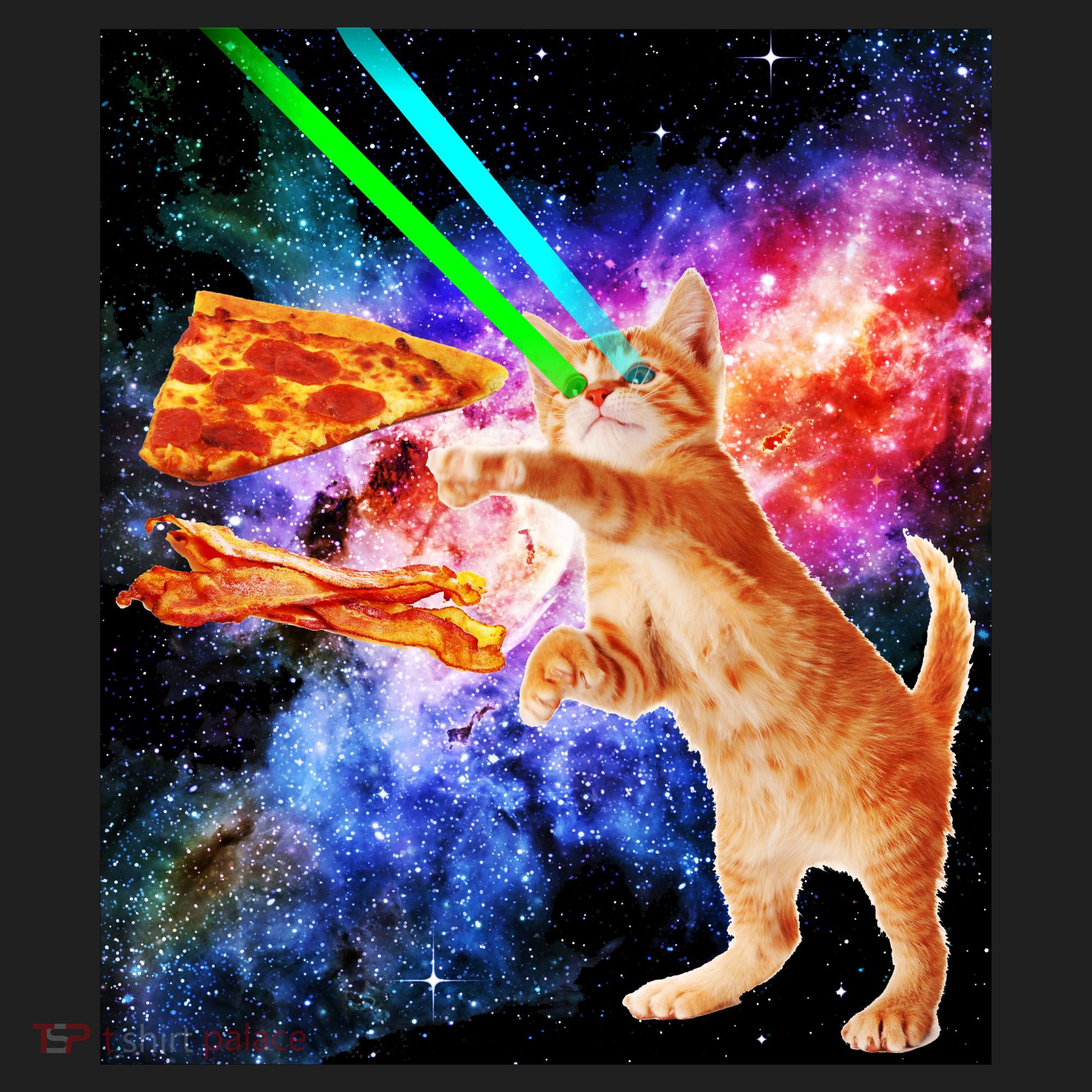 Space Hunger Flying Cat Pizza Bacon1 Women's Sweatshirt