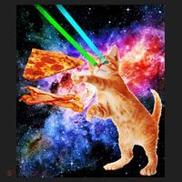 Space Hunger Flying Cat Pizza Bacon1 Tumbler thumb 3