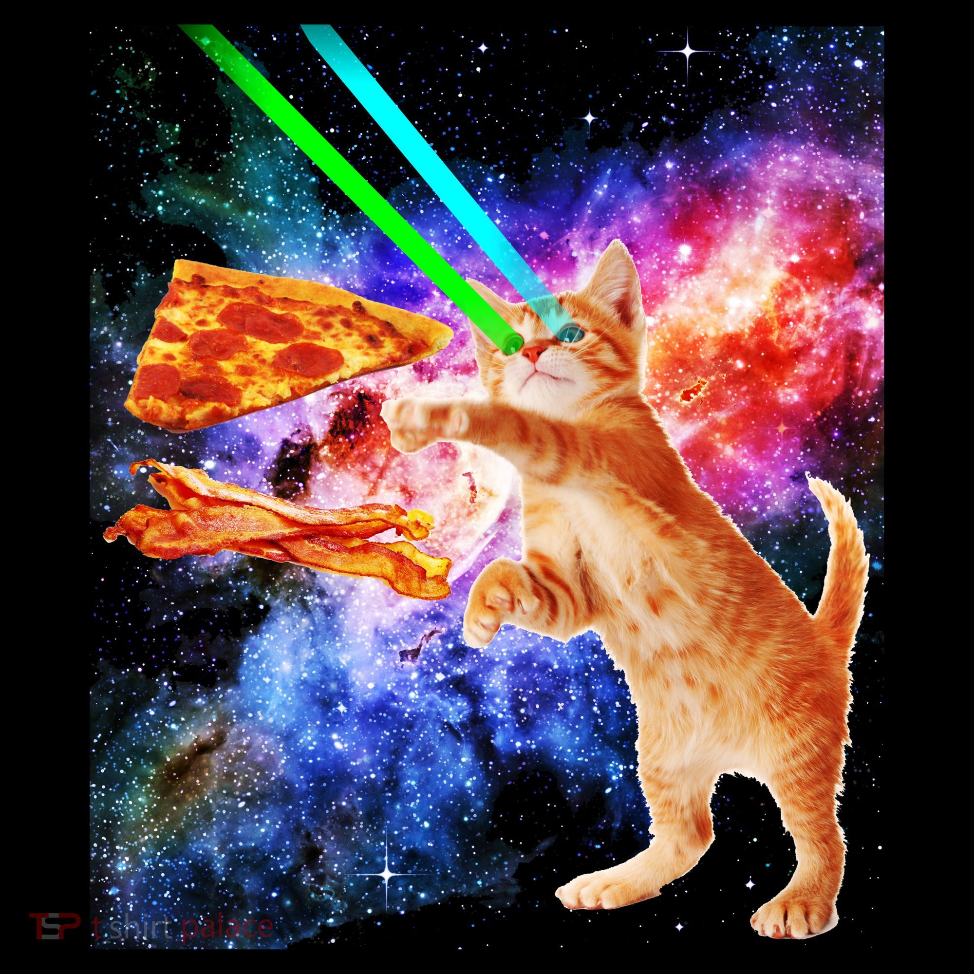 Space Hunger Flying Cat Pizza Bacon1 Tank Top