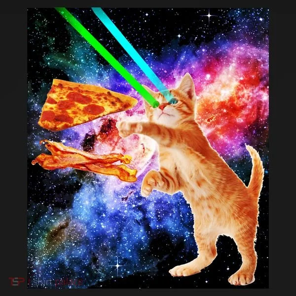 Space Hunger Flying Cat Pizza Bacon1 Kids Hoodie
