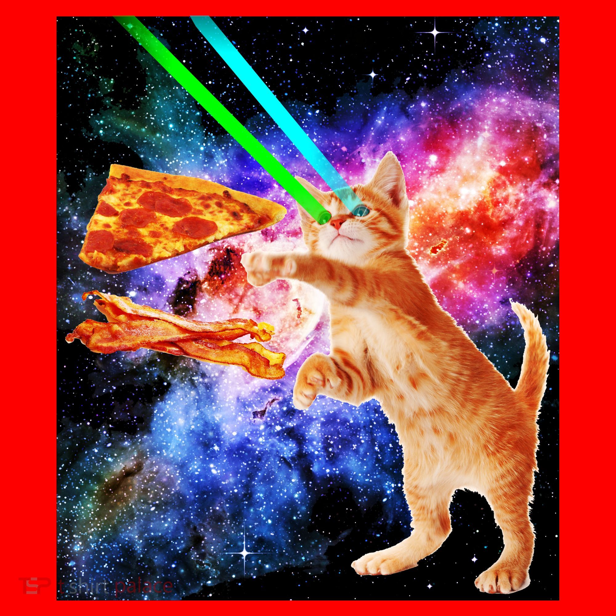 Space Hunger Flying Cat Pizza Bacon1 Santa Hat