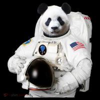 Space Panda USA Astronaut Ornament thumb 1