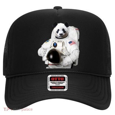 Space Panda USA Astronaut Hat