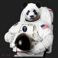 Space Panda USA Astronaut Hat thumb 2