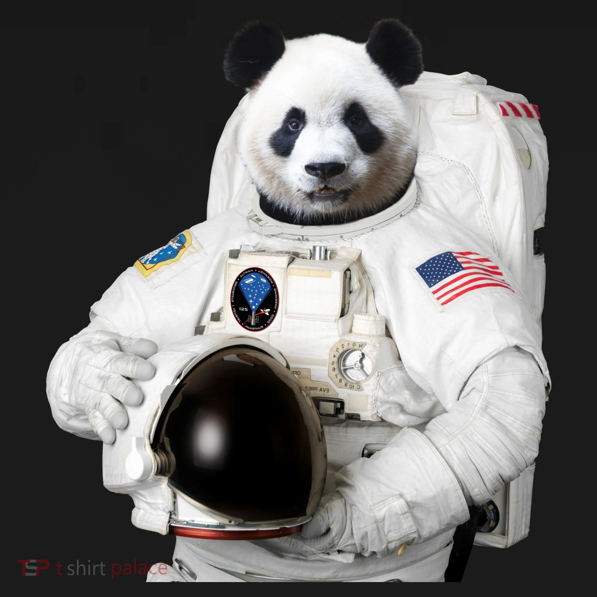 Space Panda USA Astronaut Toddler Hoodie