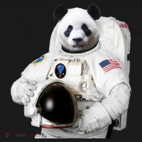 Space Panda USA Astronaut Kids Sweatshirt thumb 2