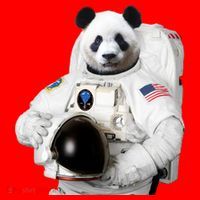 Space Panda USA Astronaut Santa Hat thumb 1