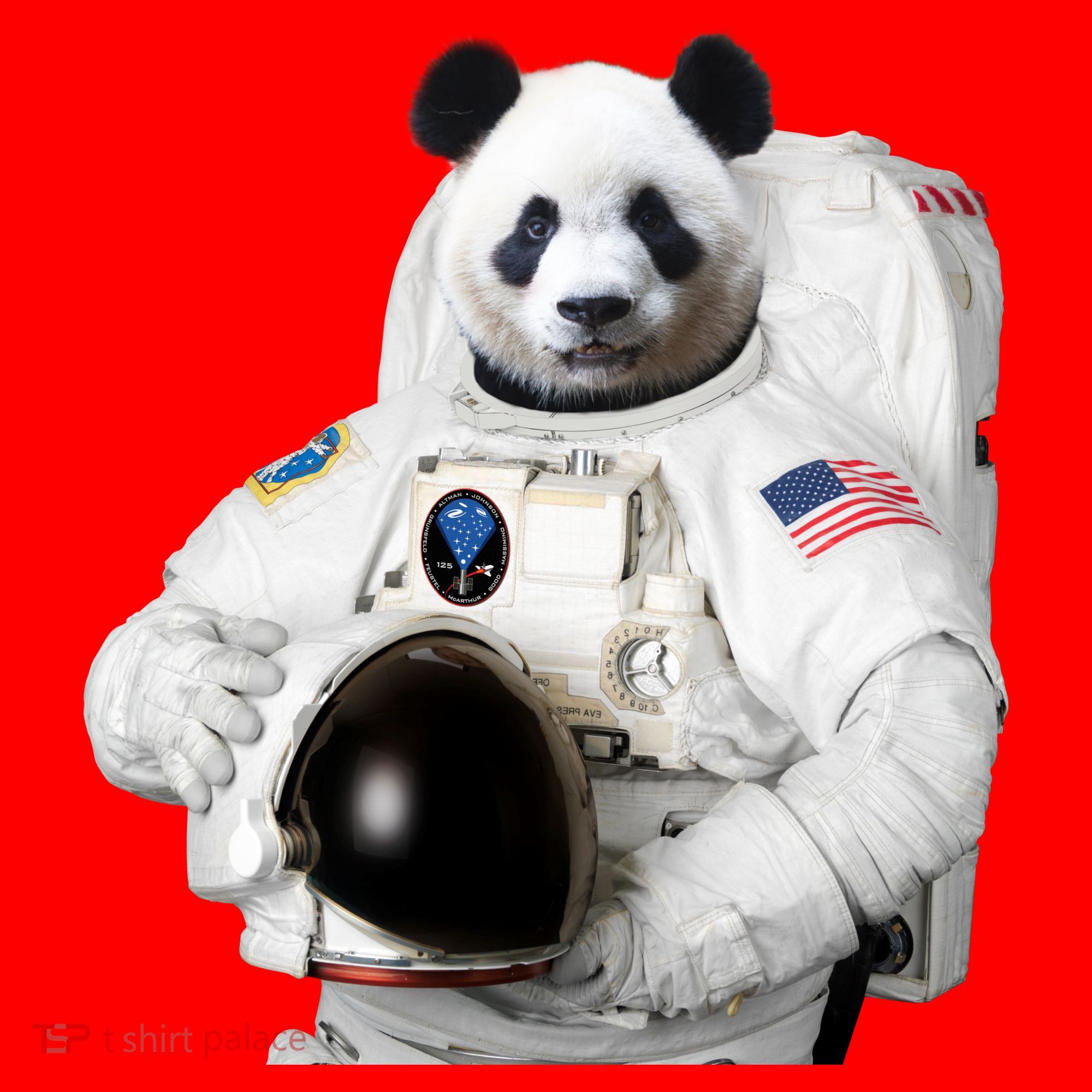 Space Panda USA Astronaut Santa Hat