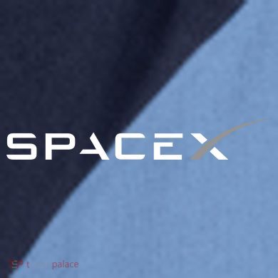Space X Logo Raglan Baseball Sleeve Shirt