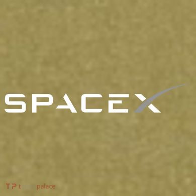 Space X Logo Garment-Dyed Women's Muscle Tee