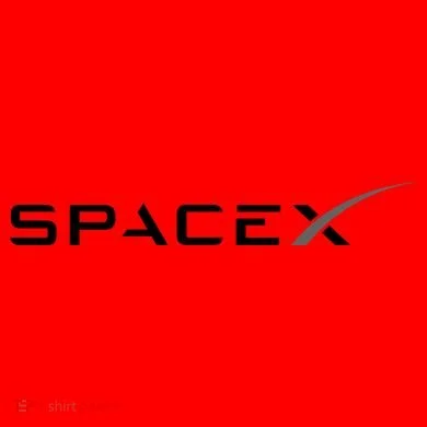 Space X Logo Santa Hat