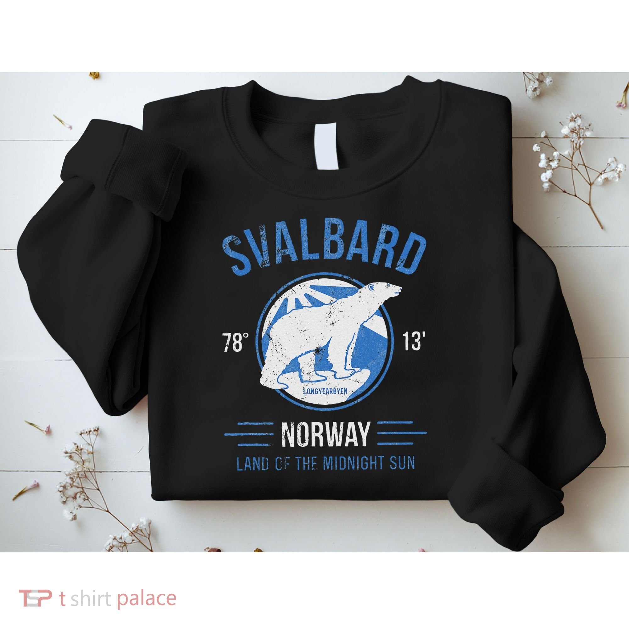 Svalbard Polar Bear Norway Northern Lights Sweatshirt