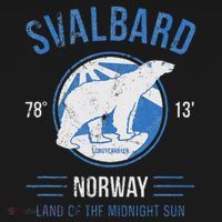 Svalbard Polar Bear Norway Northern Lights Bucket Hat thumb 4