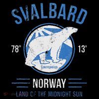 Svalbard Polar Bear Norway Northern Lights Ornament thumb 1