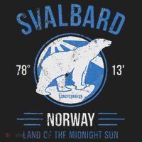 Svalbard Polar Bear Norway Northern Lights Hat thumb 2