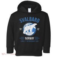 Svalbard Polar Bear Norway Northern Lights Toddler Hoodie thumb 0
