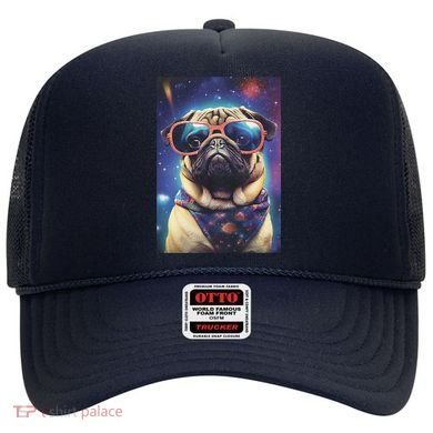 Space Pug Cool Dog Poster Hat