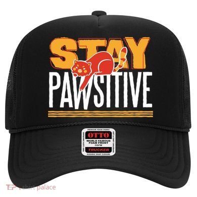 Stay Pawsitive Cute Stay Positive Cat Lover Gift Hat