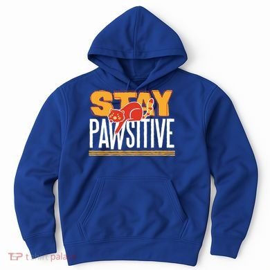 Stay Pawsitive Cute Stay Positive Cat Lover Gift Hoodie