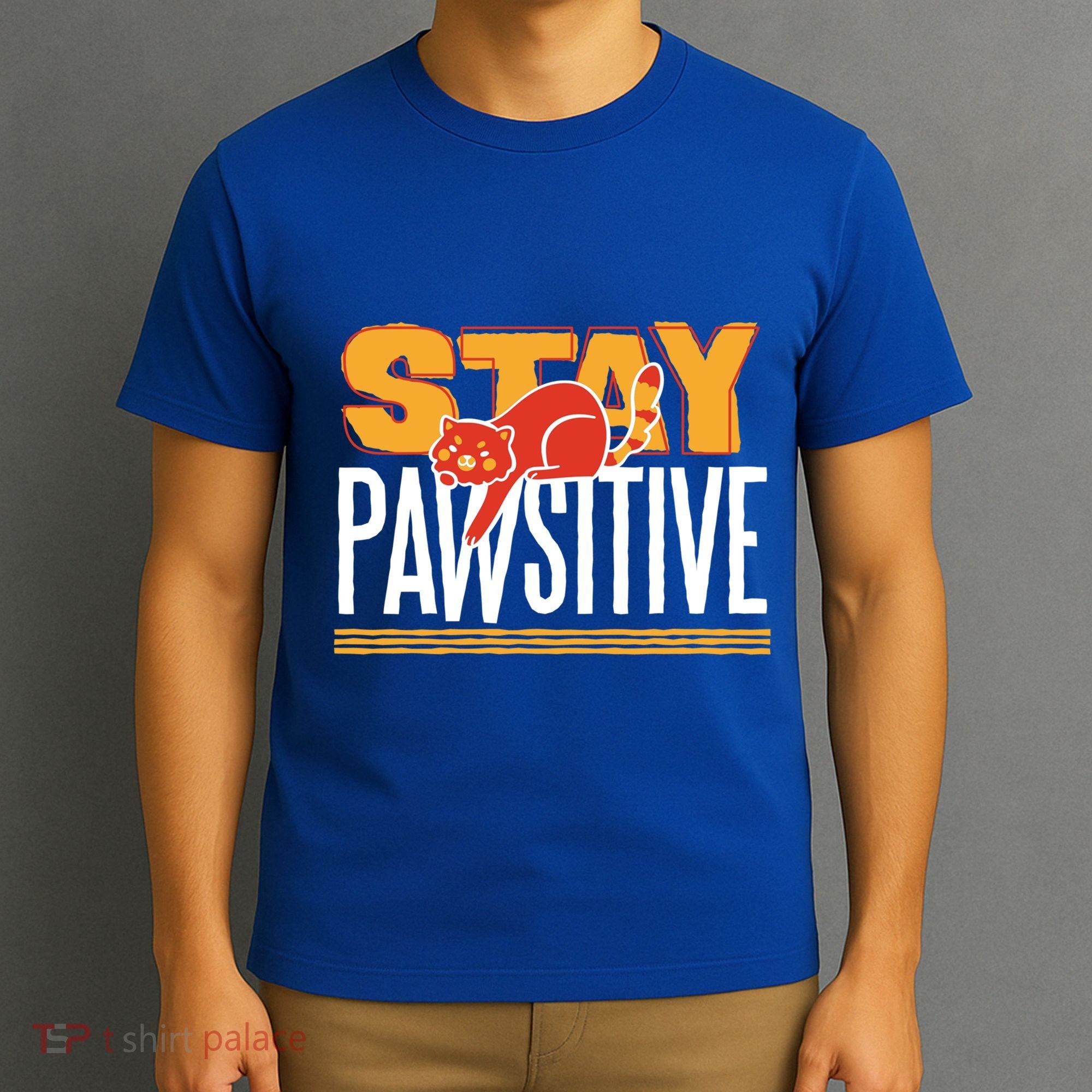 Stay Pawsitive Cute Stay Positive Cat Lover Gift T-Shirt
