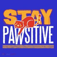 Stay Pawsitive Cute Stay Positive Cat Lover Gift Toddler T-Shirt thumb 4