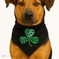 St Patrick's Clover Day Not Lucky Simply Blessed Romans 4:7-8 USA-Made Doggie Bandana thumb 1