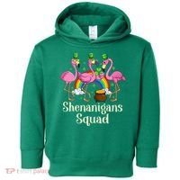 St Patrick's Day Shenanigan Squad Leprechaun Irish Flamingo Toddler Hoodie thumb 0
