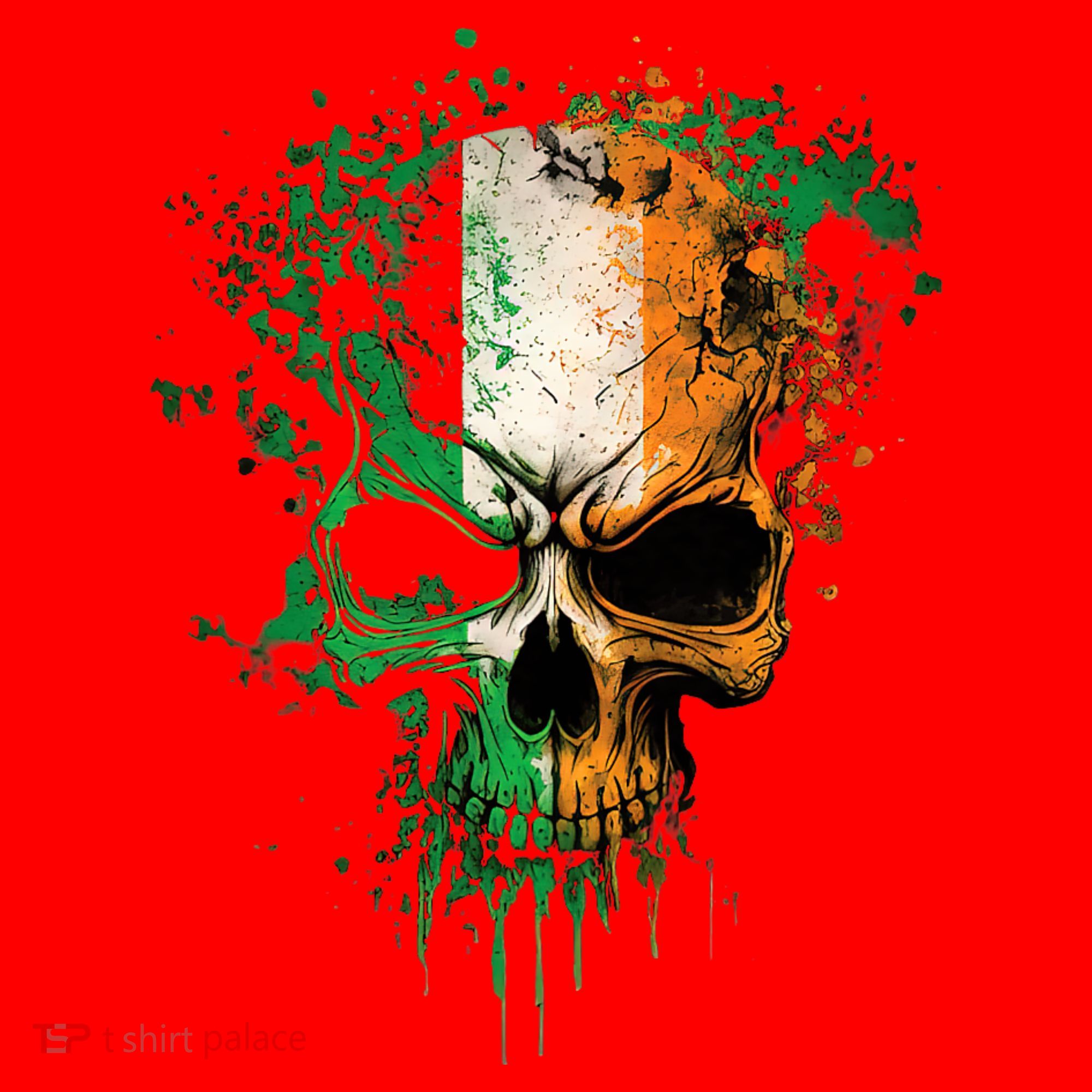 St Patricks Day Skull Irish Flag Teens Santa Hat